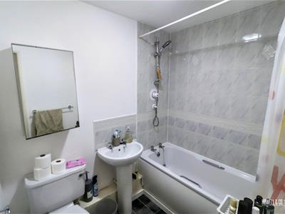 Picture 5